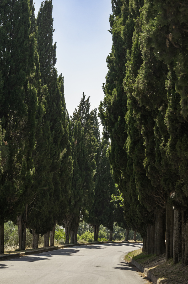 Via di Circonvallazione