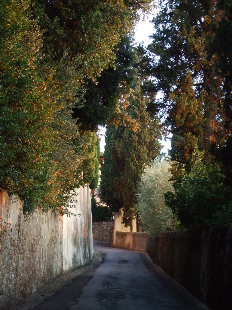 VIA DI S. LEONARDO