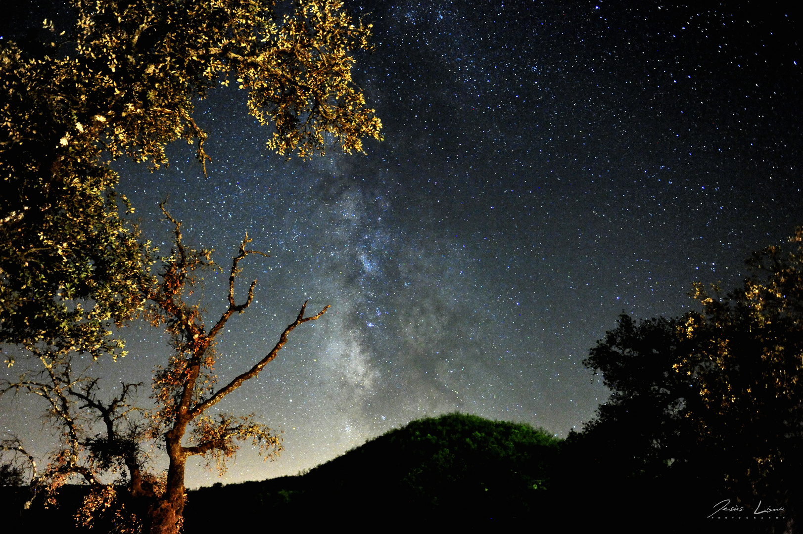 Via lactea I