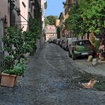 Via Margutta Gasse in Rom