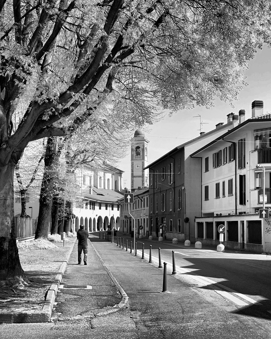 Via Milano, Pioltello