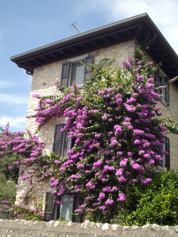 Via Navene / Malcesine