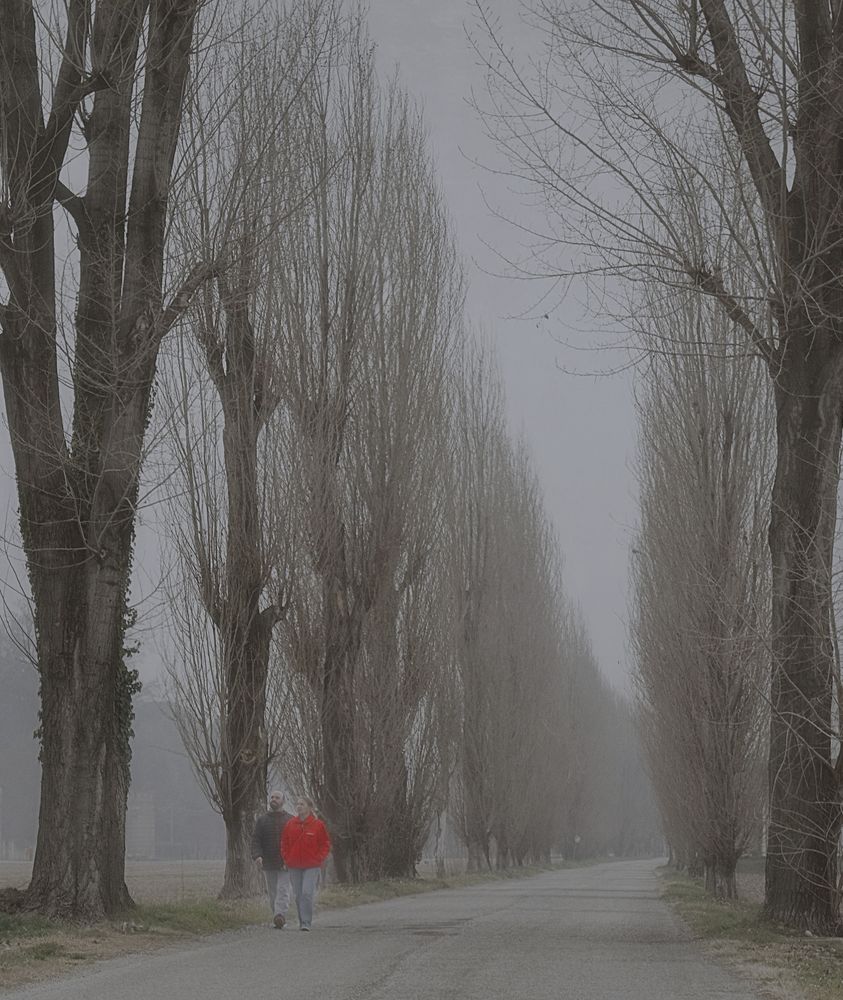 via Puccini - la passeggiata 