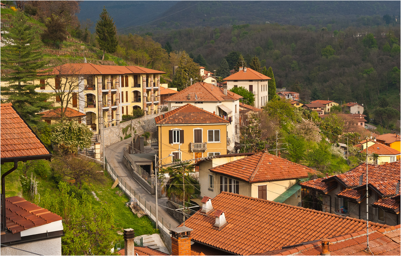 VIA TRIESTE