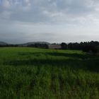 Vía Verde de Bullas a Cehegín (MURCIA)