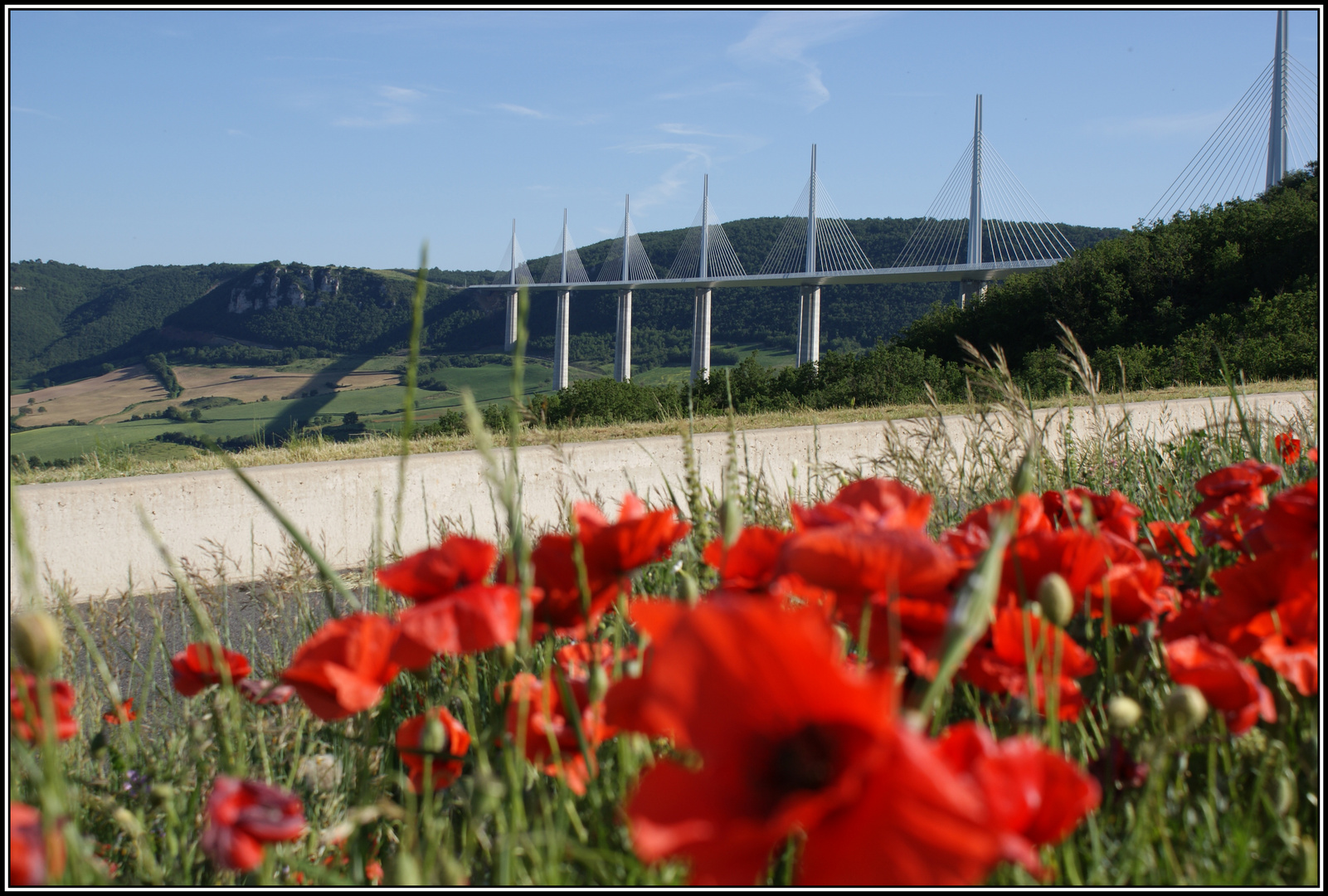 Viadotto di Millau