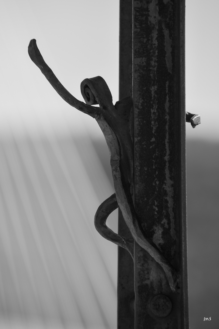 Viaduc de Millau (Aveyron)