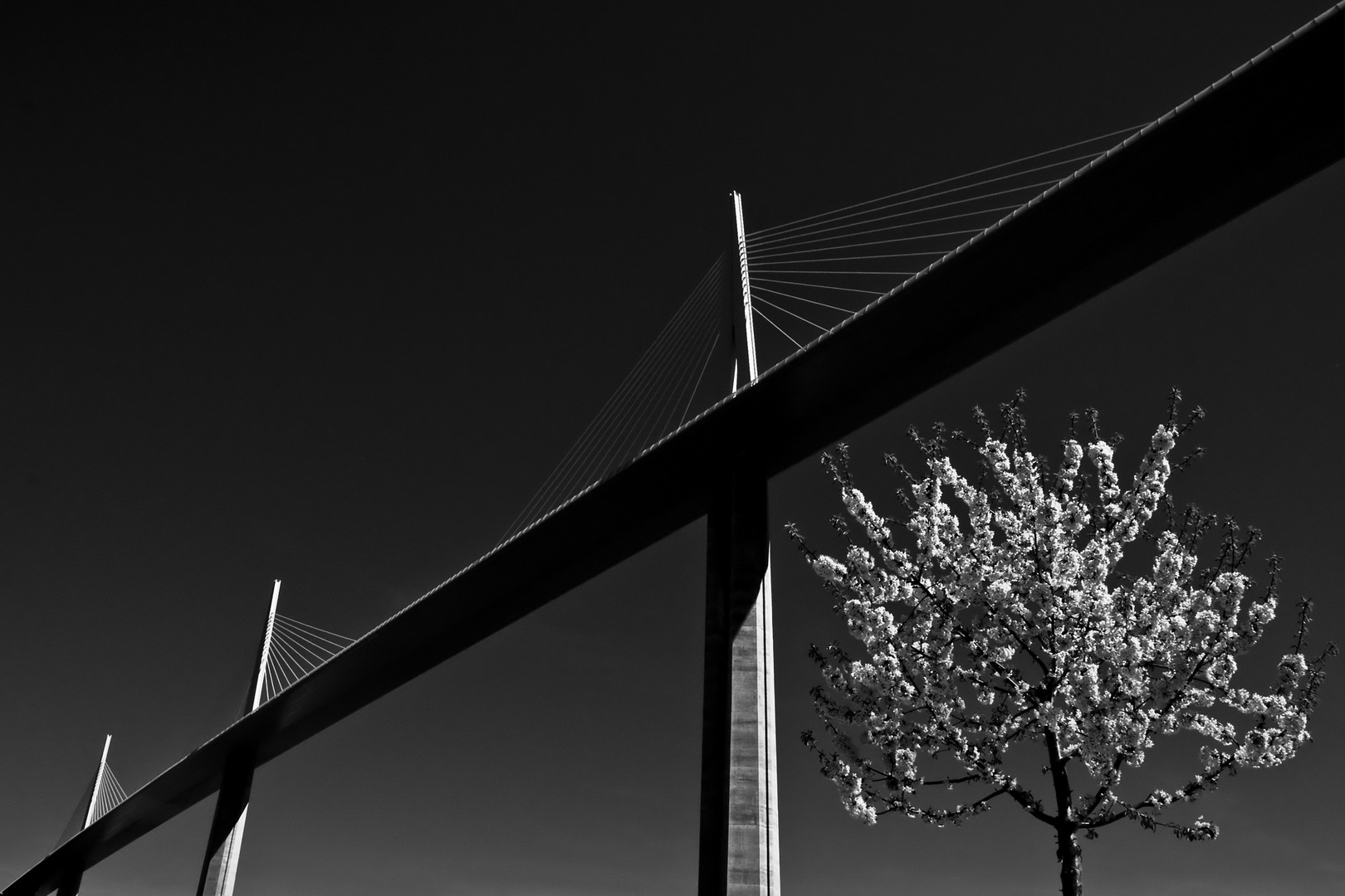 Viaduc de Millau