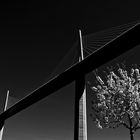 Viaduc de Millau