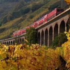 Viadukt bei Pünderich - an der Mosel