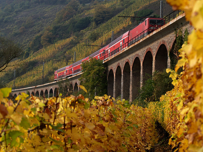 Viadukt bei Pünderich - an der Mosel