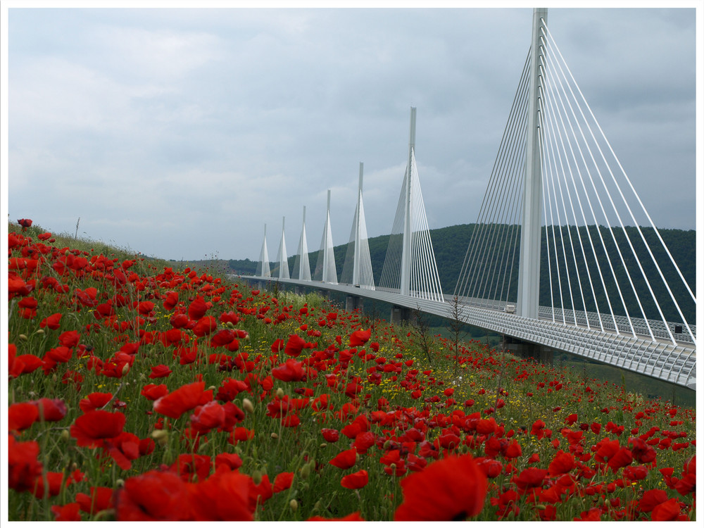 Viadukt de Millau