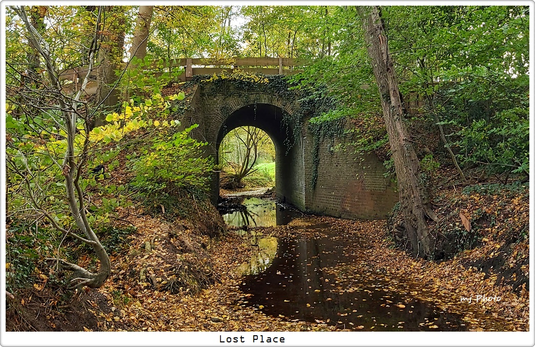 Viadukt im Wald