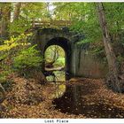 Viadukt im Wald