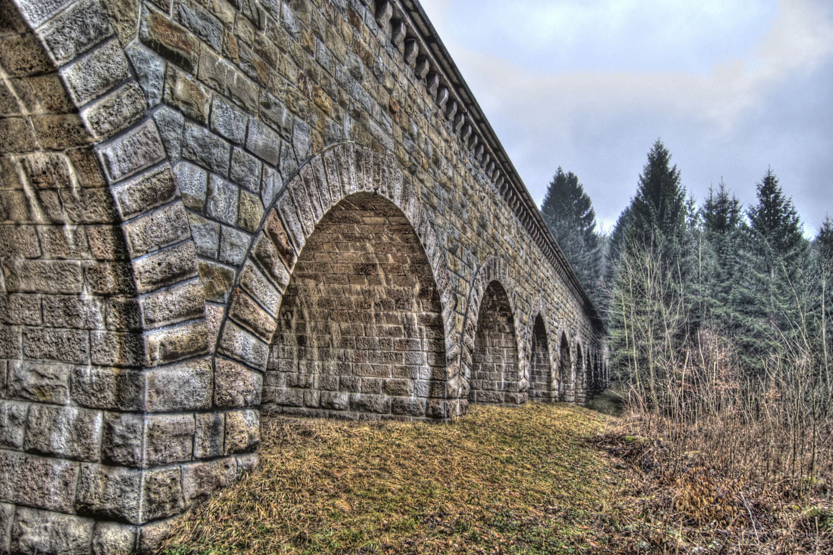 viadukt in the wood