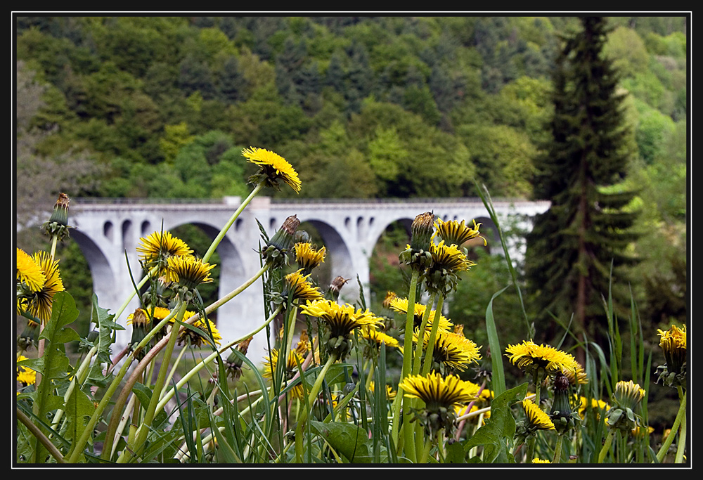 Viadukt in Willingen