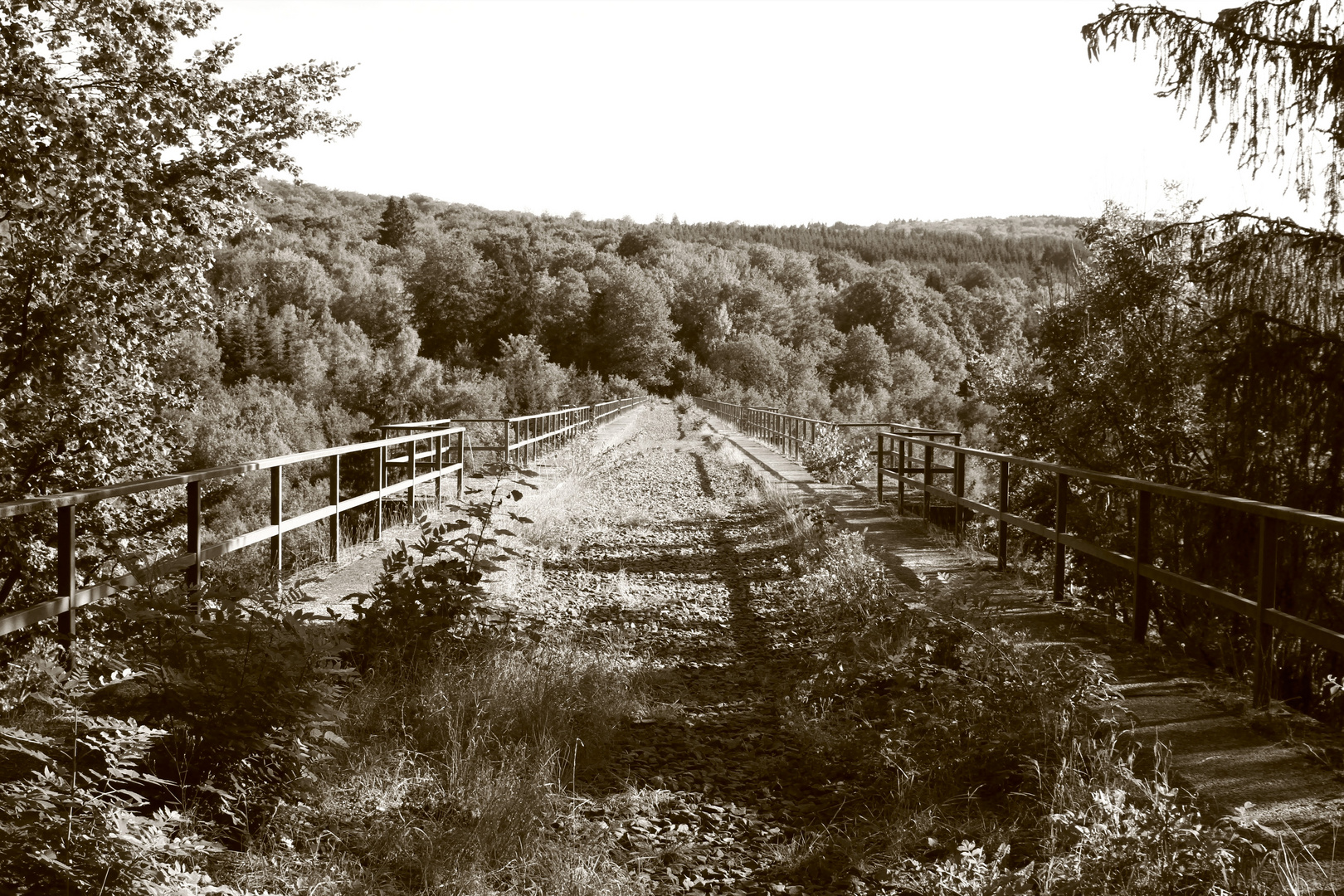 Viadukt über die Nister