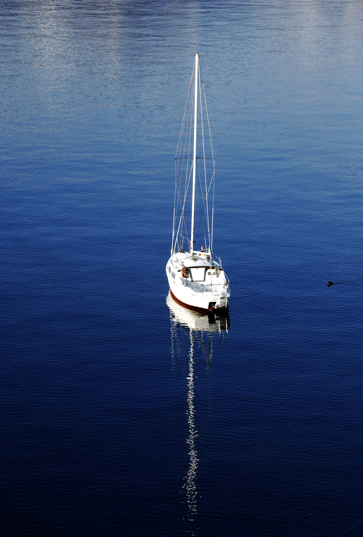 viaggi nel grande Blu