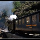 viaggiatori sul trenino del Furka