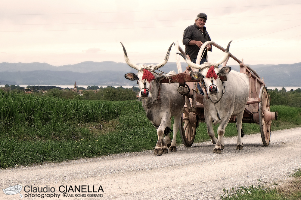 VIAGGIO ANCESTRALE