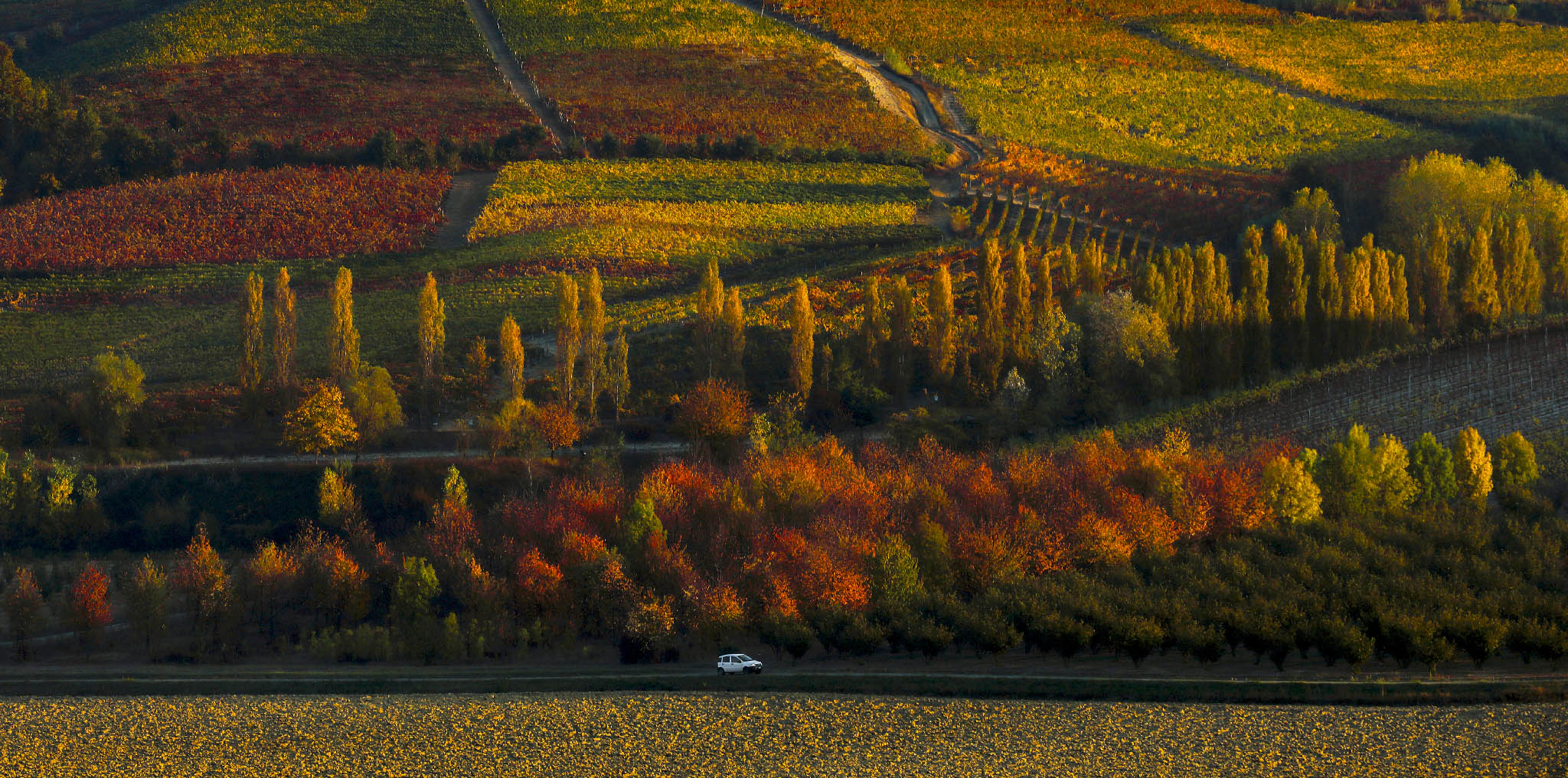 viaggio d'autunno