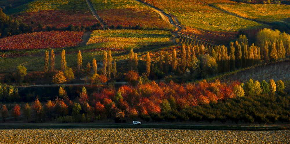 viaggio d'autunno