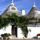 Viaggio fra i trulli