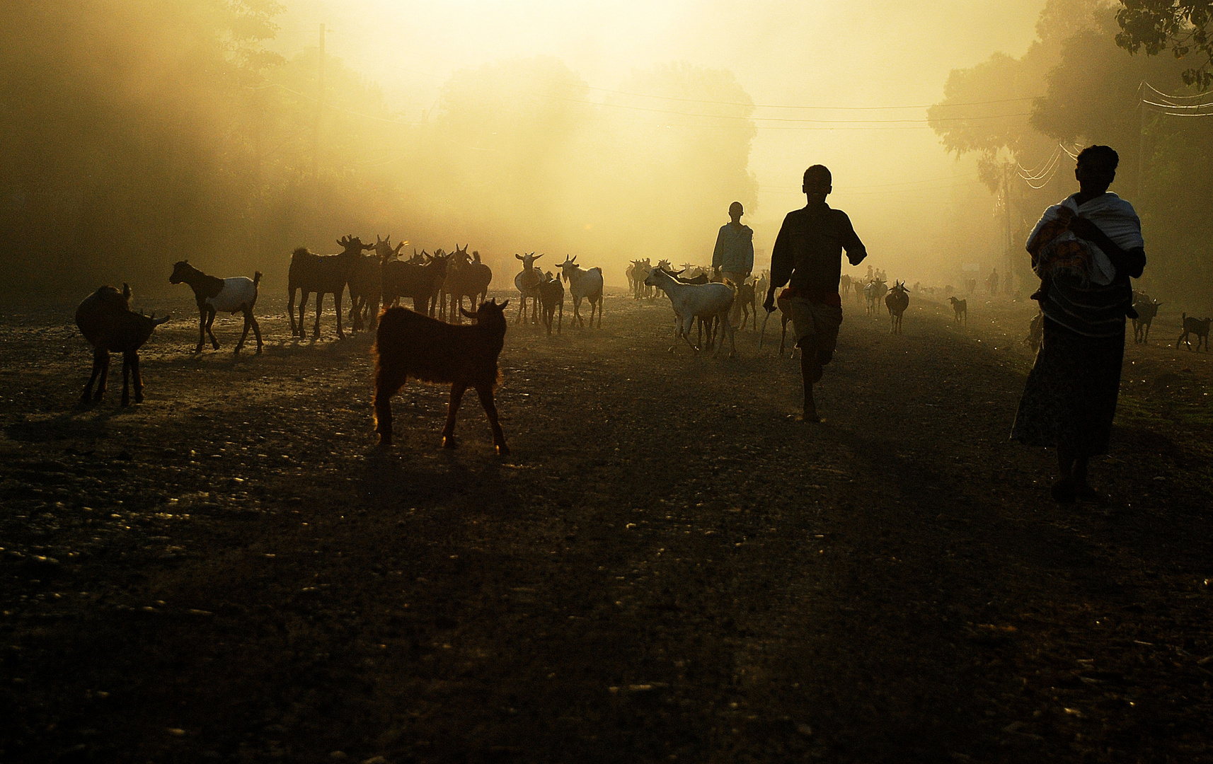 Viaggio in Etiopia 2