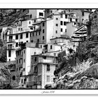 Viaggio nelle Cinque Terre XIV