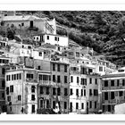 Viaggio nelle Cinque Terre XXII