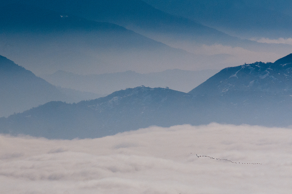 Viaggio sopra la nebbia