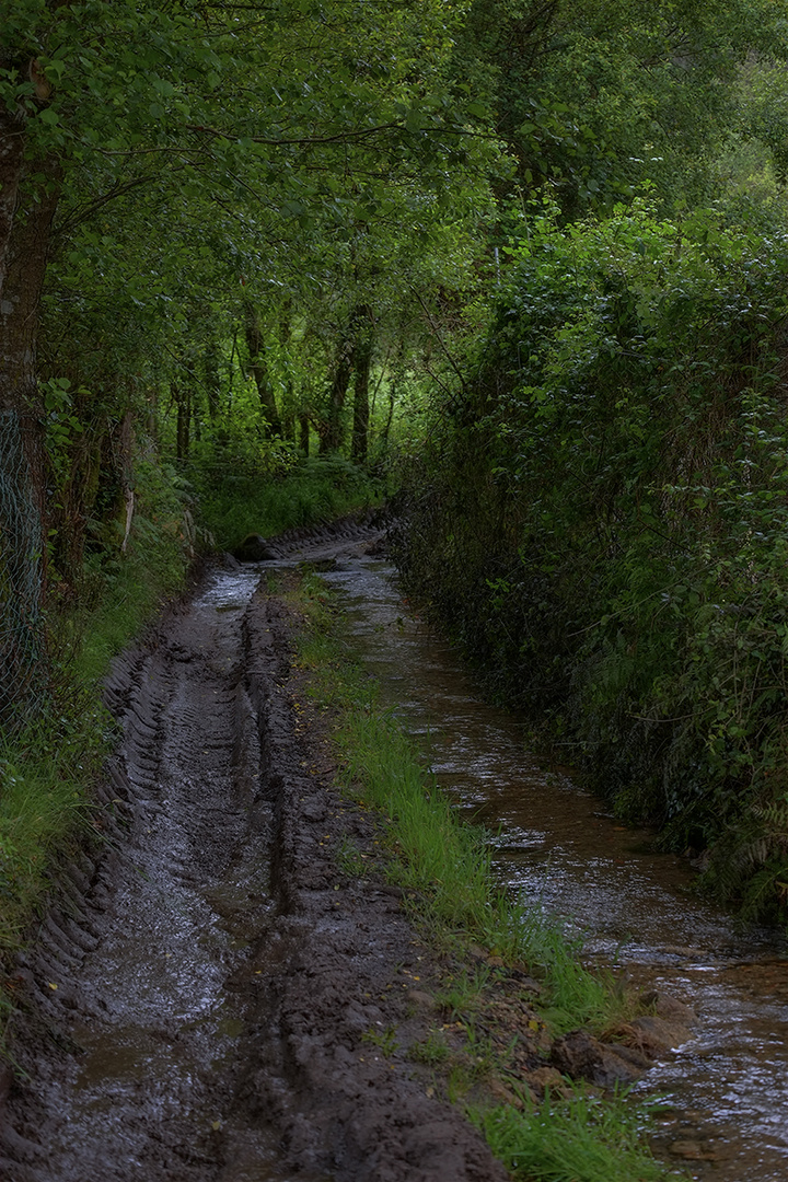 'Viaje al corazón de Galicia' (8)