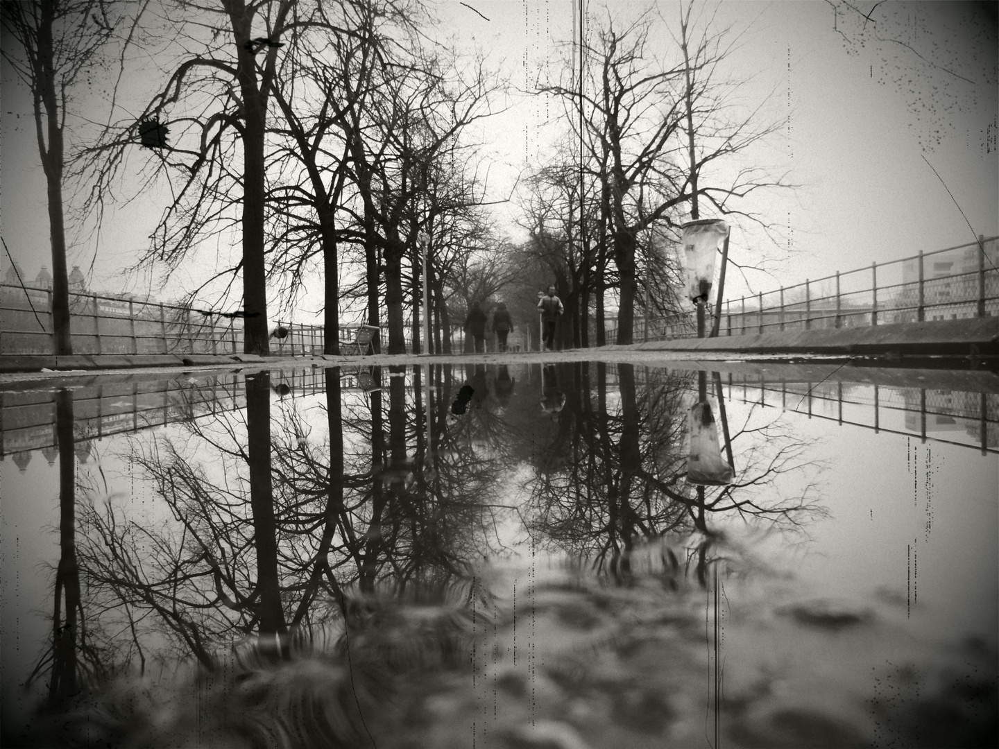 viaje de invierno en Allé de Cigne