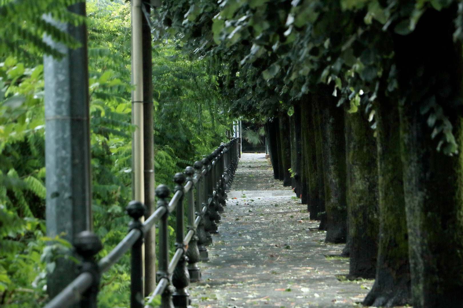 Viala Lido in Stresa 