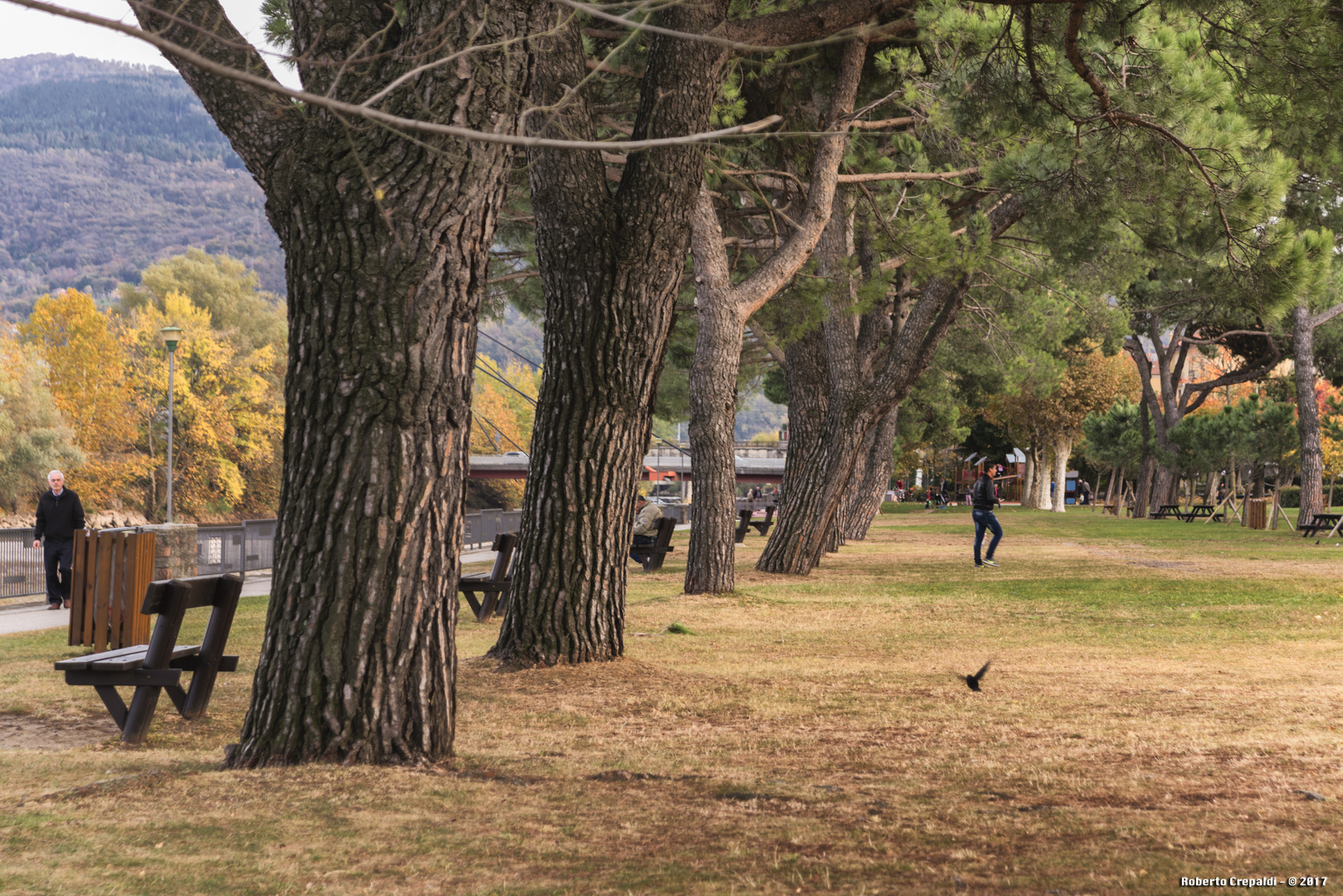 Viale alberato, giardini di Germignaga