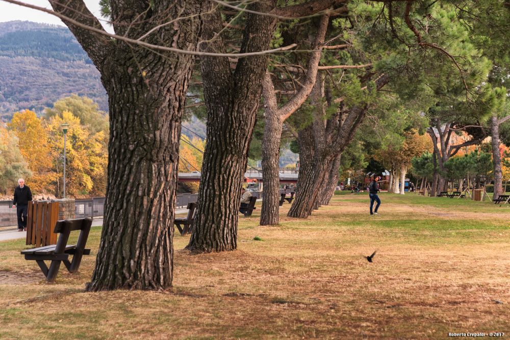 Viale alberato, giardini di Germignaga