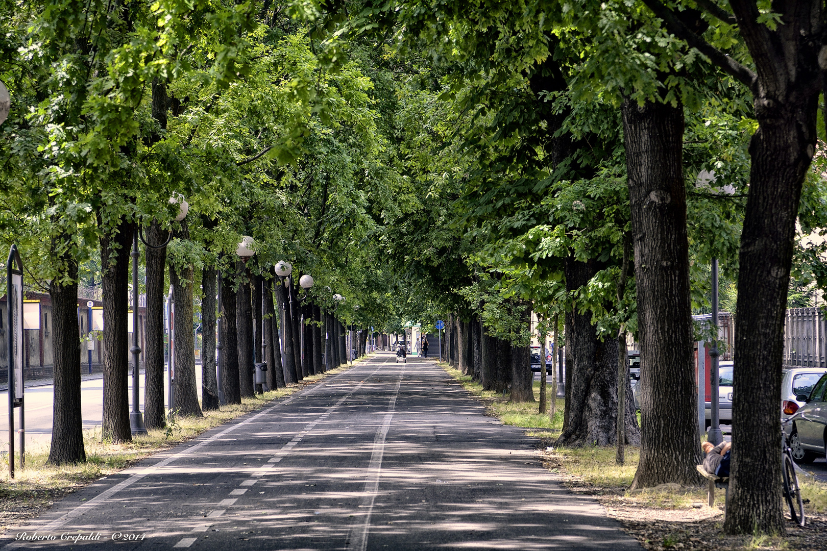 Viale alberato, Vercelli