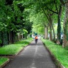 Viale Cesare Battisti, Monza