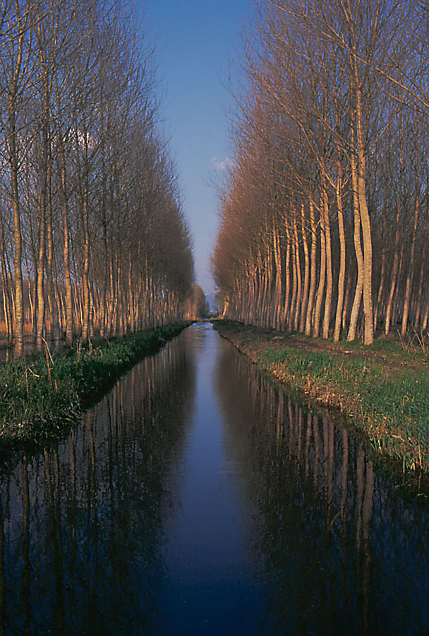 Viale d'acqua