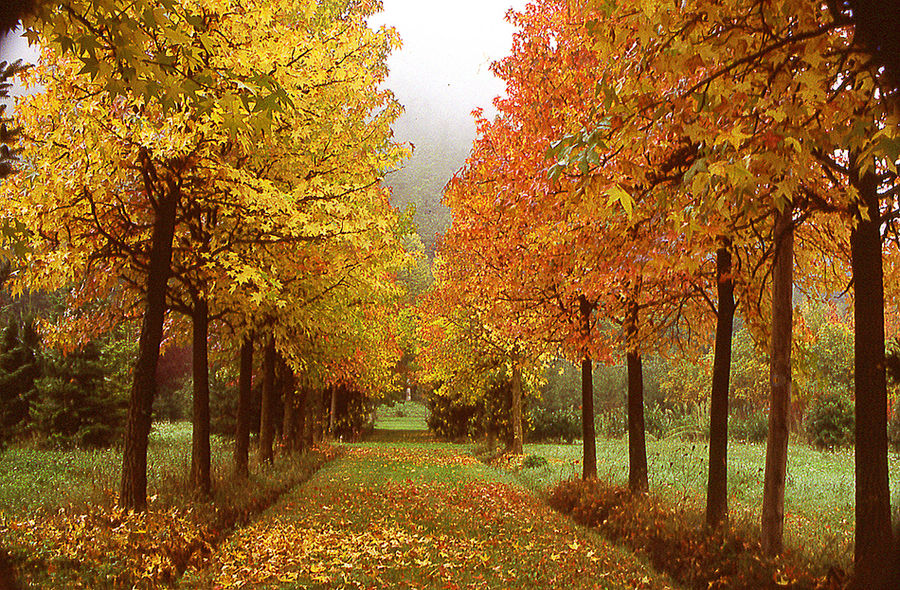 VIALE D'AUTUNNO N° 3