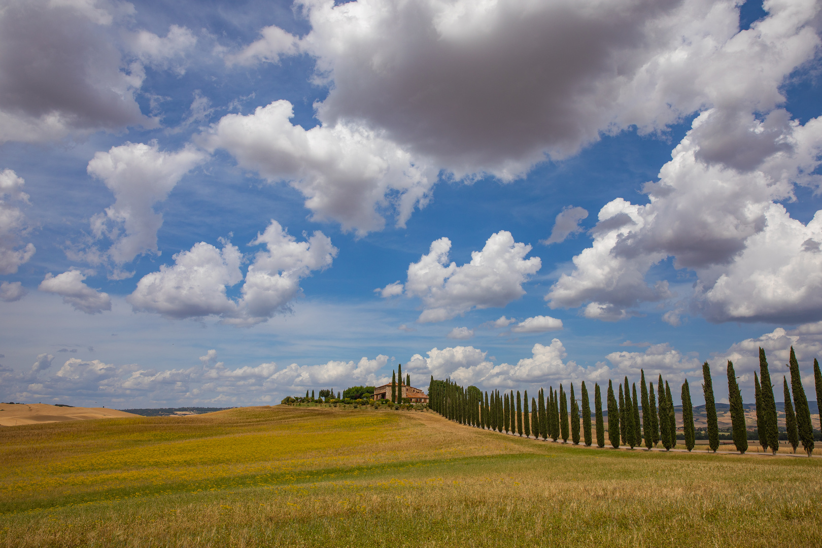 Viale dei Cypressi - Poggio covili