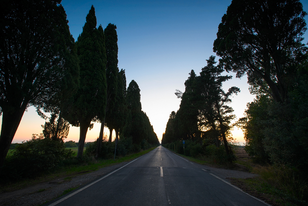 Viale dei Zipressi zur Blauen Stunde