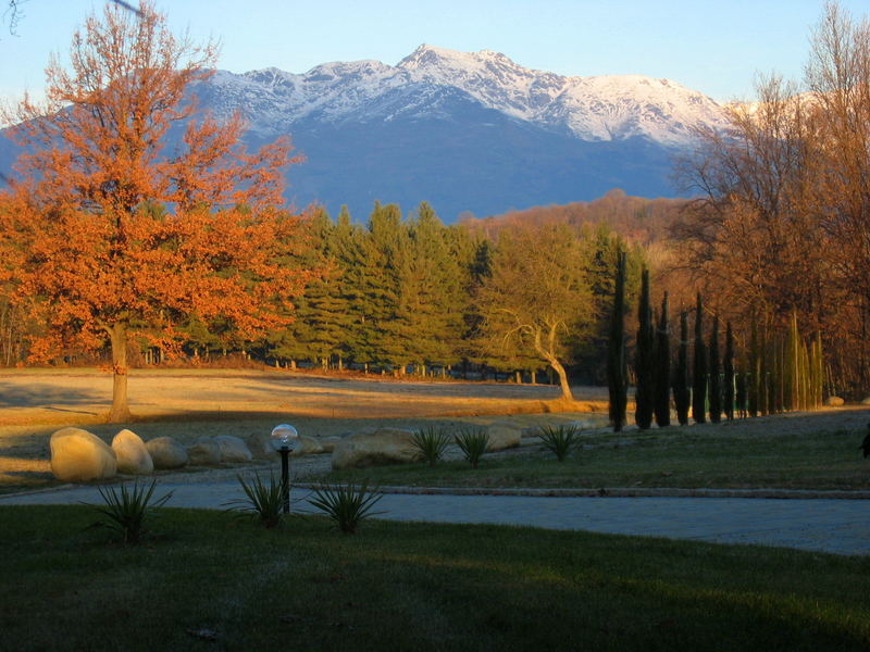 viale d'incontro