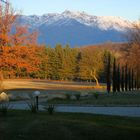 viale d'incontro