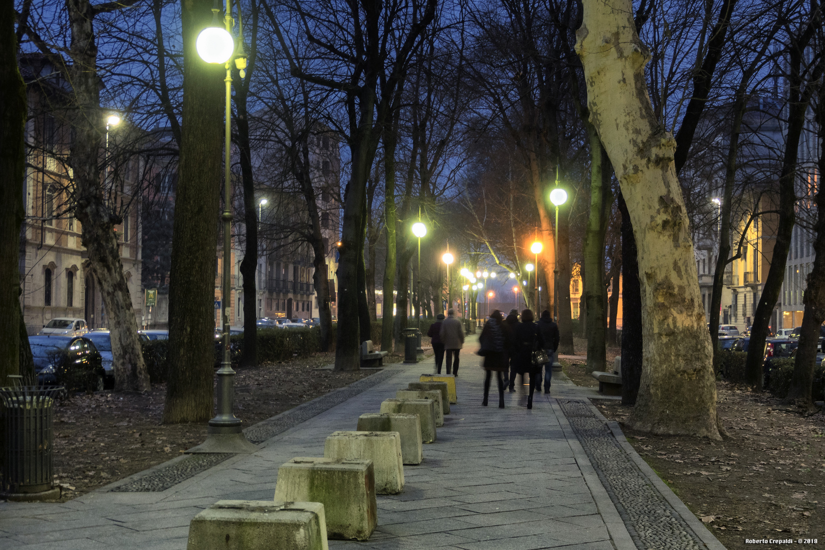 Viale Matteotti, Pavia Foto Immagini architetture