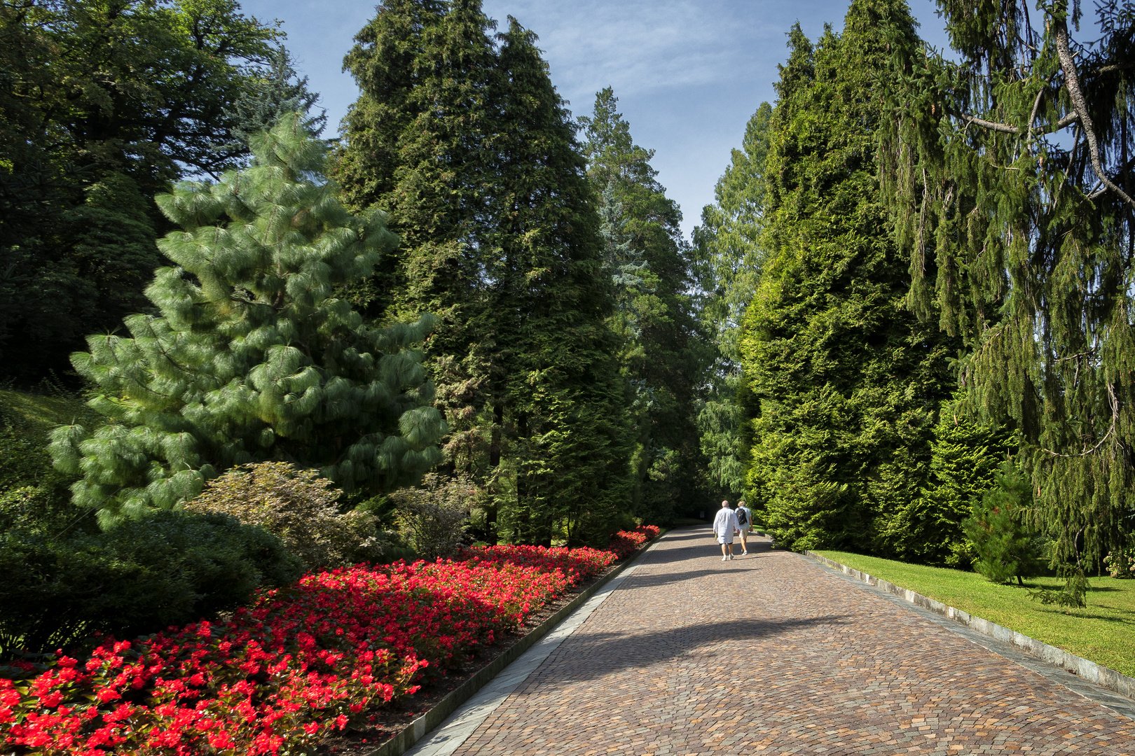 Viale ingresso, villa Taranto