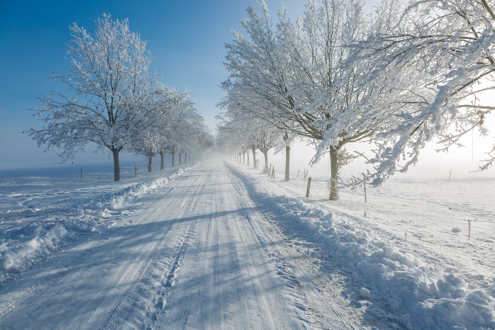 Viale Innevato