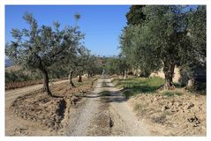 Viale nell'Abruzzo