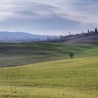 Viale Toscana gennaio 