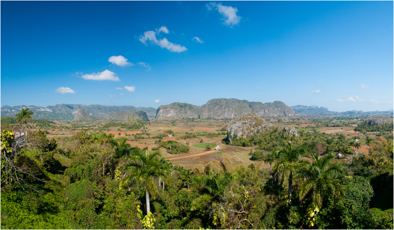 Viñales #1